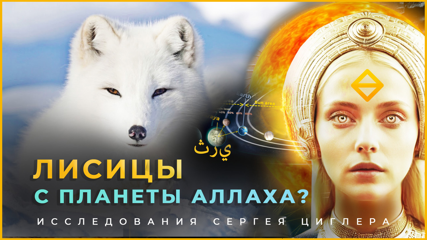 Foxes are from planet Allah