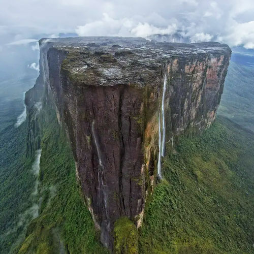 The mountains are giant trees of the golden times of the past.